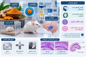 نانوکورکومین؛ ترکیبی امیدوارکننده برای کاهش رفتارهای شبیه افسردگی و اضطراب و بهبود حافظه در موش‌ها
