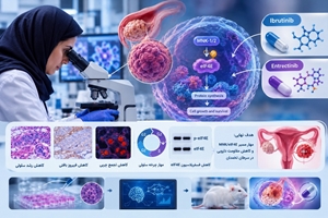 پژوهشگران ایرانی دو داروی موجود را برای هدف‌گیری مسیر مولکولی مرتبط با مقاومت سرطان تخمدان بررسی کردند
